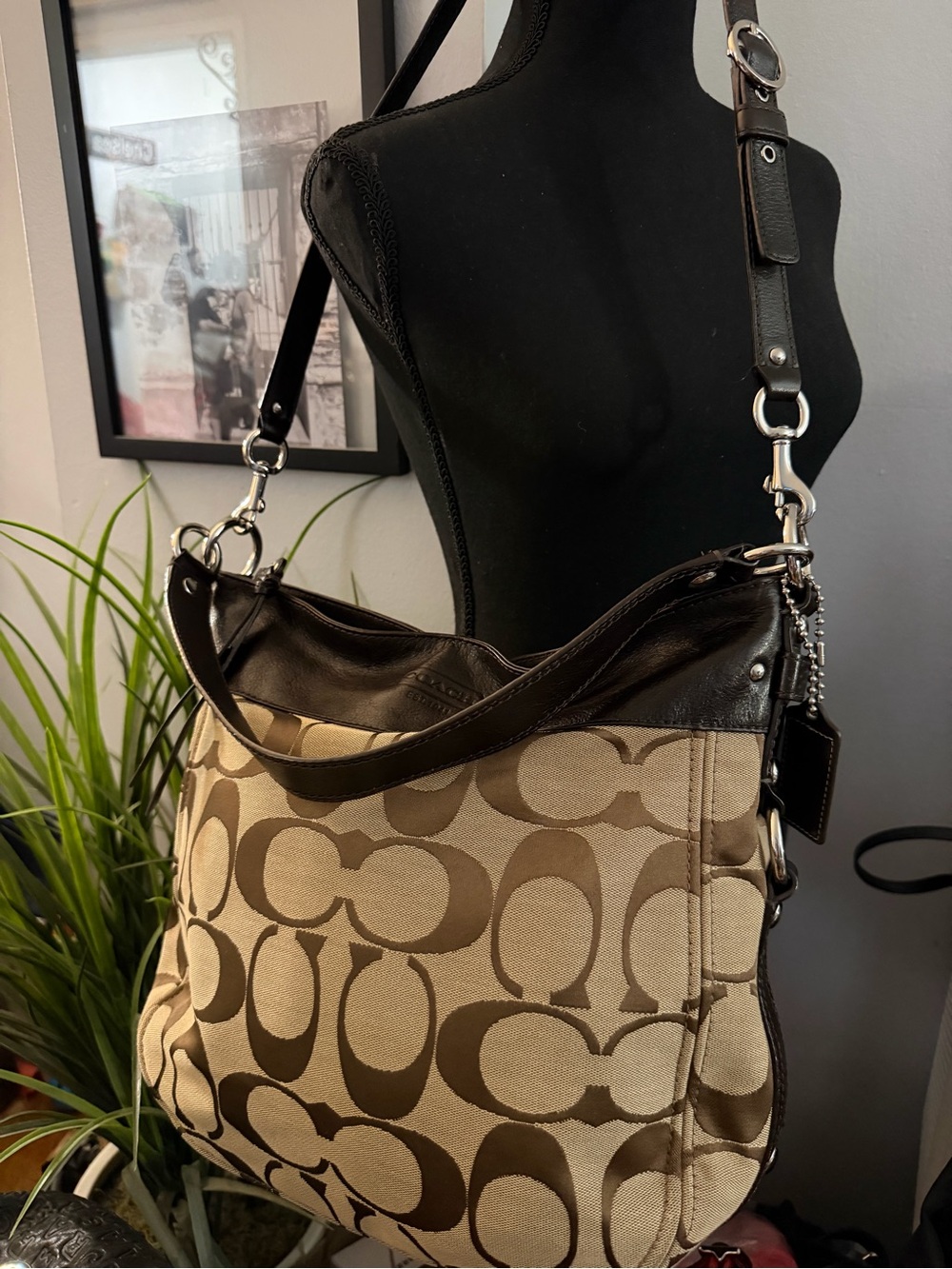 Coach Signature C Zoe Bag - Picture 13 of 16